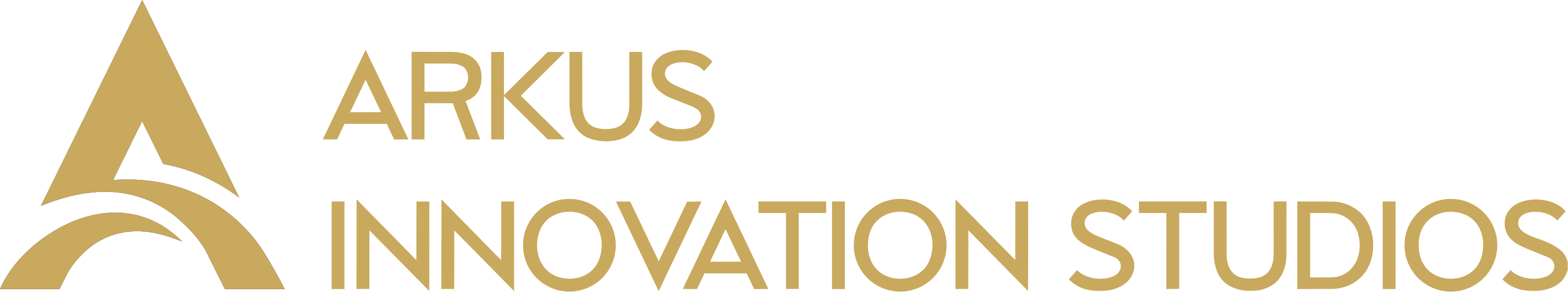 Arkus Innovation Studios